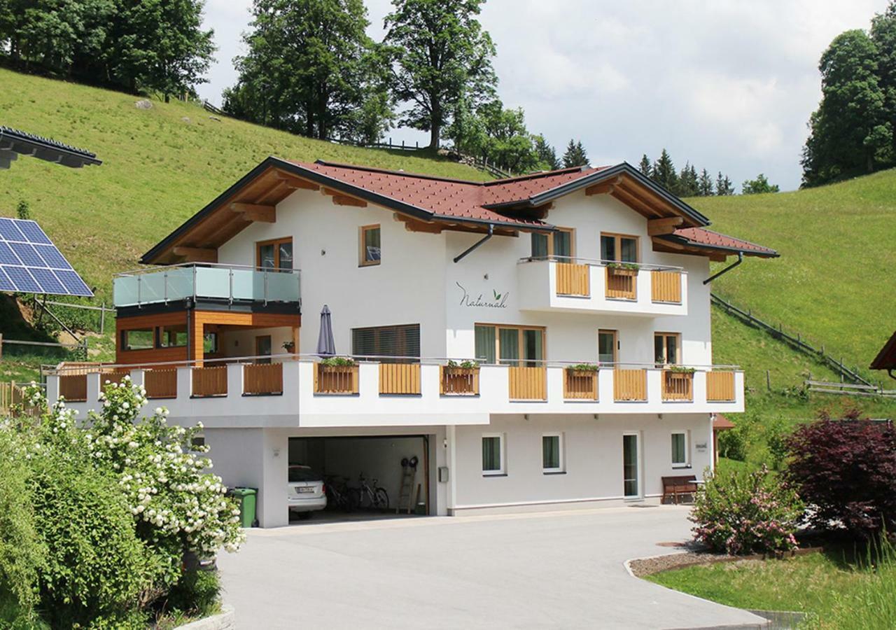 Naturnah Apartmán Schladming